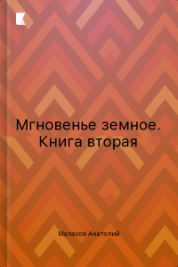 Мгновенье земное. Книга вторая